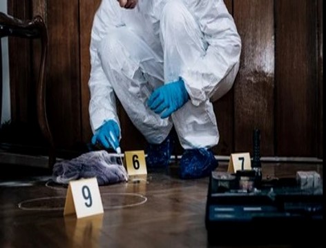 CURS D’INVESTIGACIÓ CRIMINAL. Nivell I | 40H